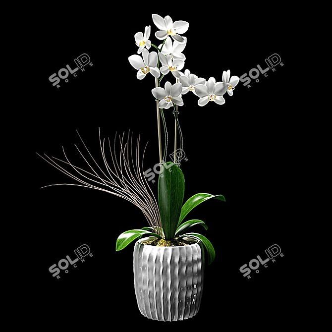 White Orchid Flower Decorative Pot 3D model image 1