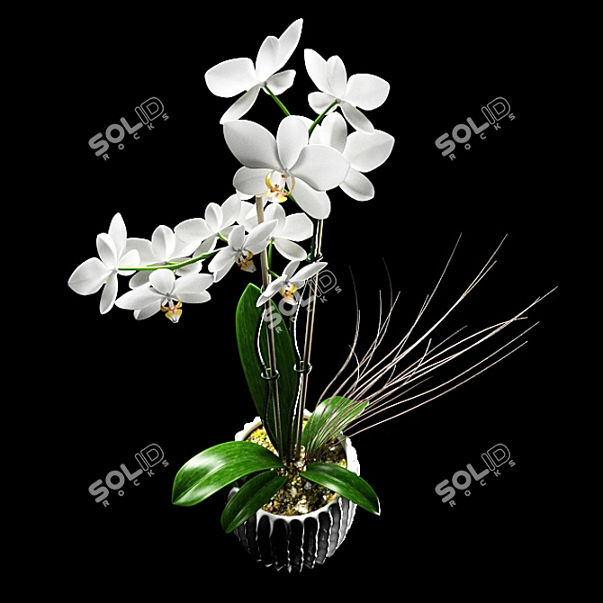 White Orchid Flower Decorative Pot 3D model image 2