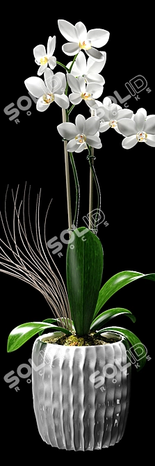 White Orchid Flower Decorative Pot 3D model image 3