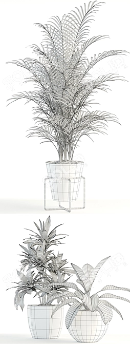 Botanical Bliss: Delightful Plants Collection 3D model image 3