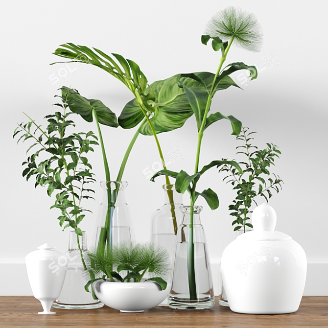 Indoor Plants Tree Collection 3D model image 1