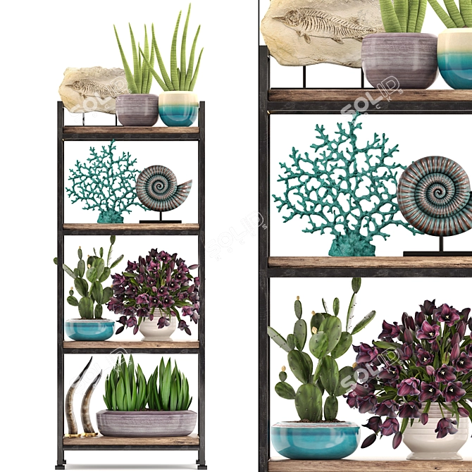 Tropical Decor Set: Shelf, Statuette, Plants 3D model image 1