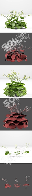 Soft Bush Cuff | Alchemilla Mollis 3D model image 3