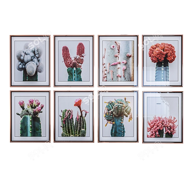 Korean Cactus Art: An Exquisite Collection 3D model image 1