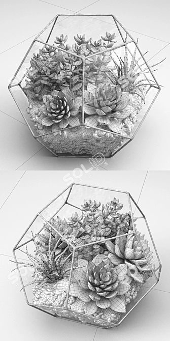 Terrarium: A Beautiful Botanical World 3D model image 3
