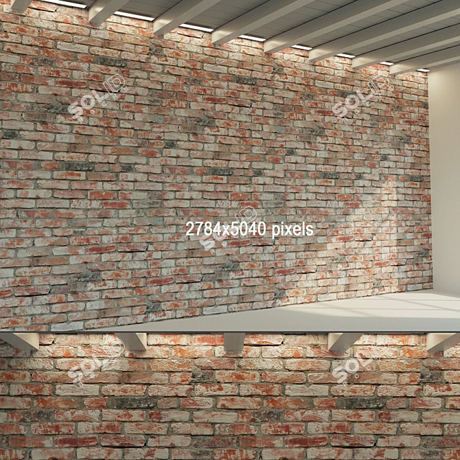 Historical Brick Wall Texture Set 3D model image 2