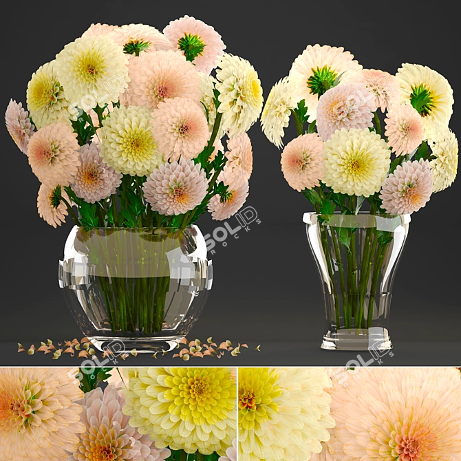 Elegant Dahlias Collection: Beautiful Spring Flowers 3D model image 1