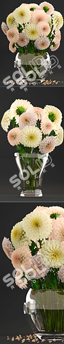 Elegant Dahlias Collection: Beautiful Spring Flowers 3D model image 2