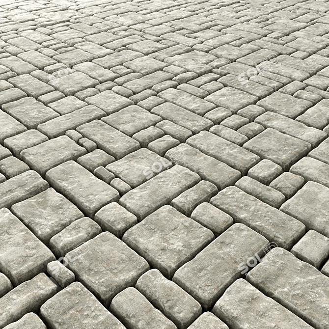 Vintage Stone Pavers 3D model image 2