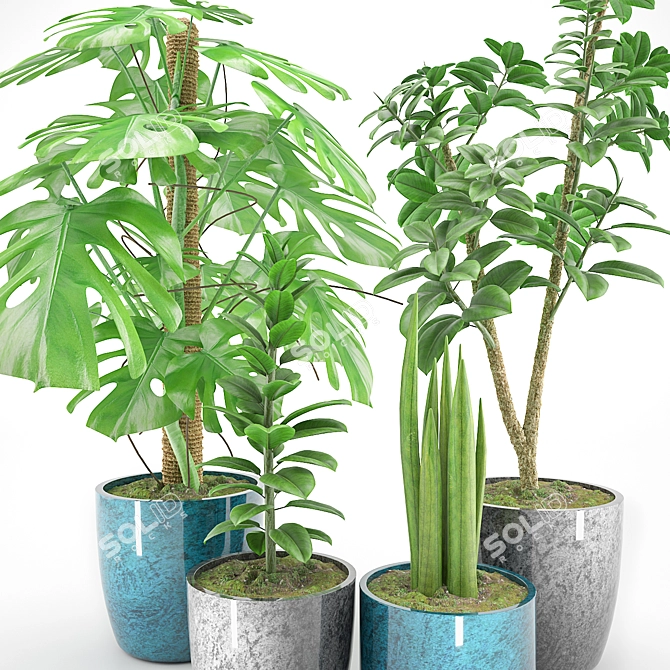 Exquisite Indoor Jungle Set 3D model image 2