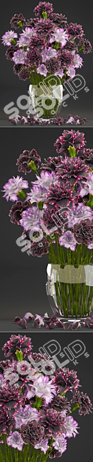 Springtime Blooms: Carnation Collection 3D model image 2