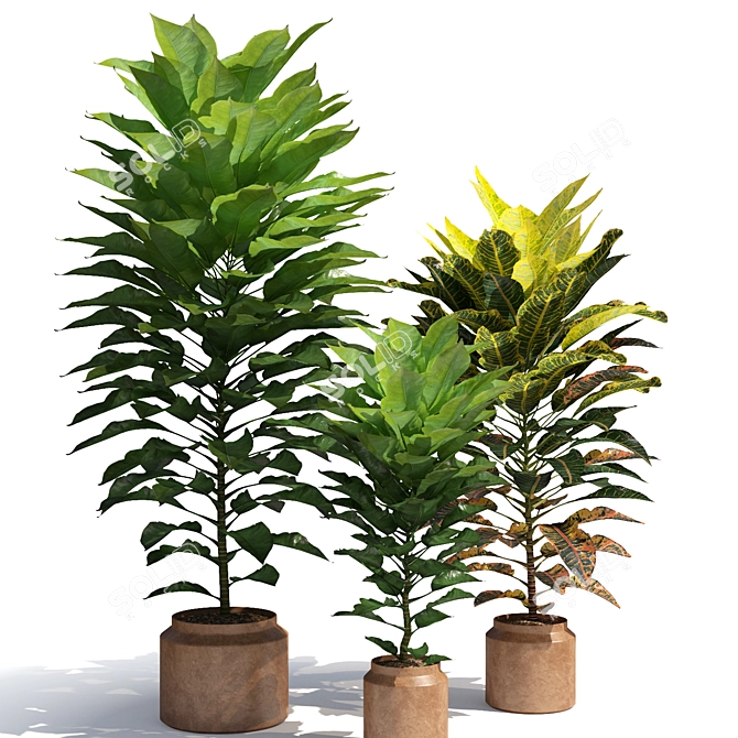 Tropical Elegance: Cordyline & Codiaeum 3D model image 1