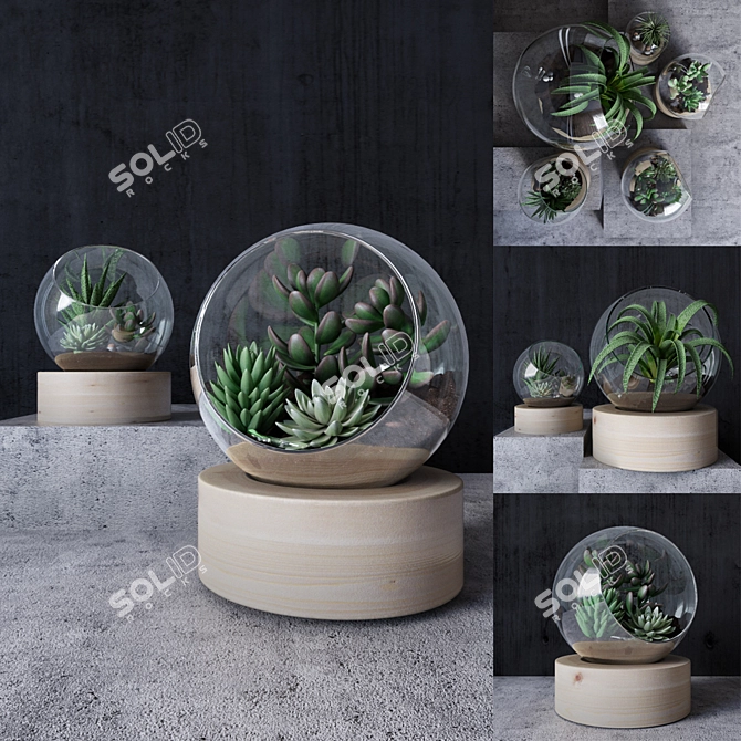 Succulent Florarium Set 3D model image 2