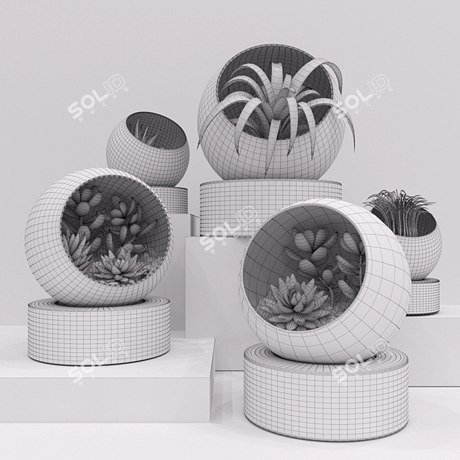 Succulent Florarium Set 3D model image 3