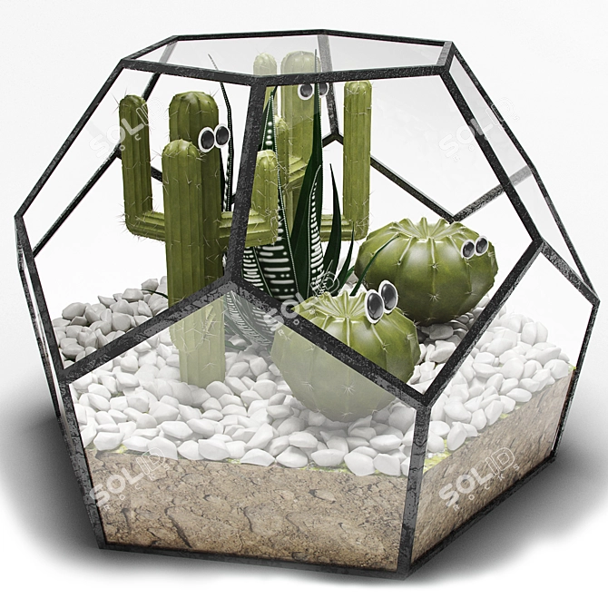 Modern Glass Florarium 3D model image 1