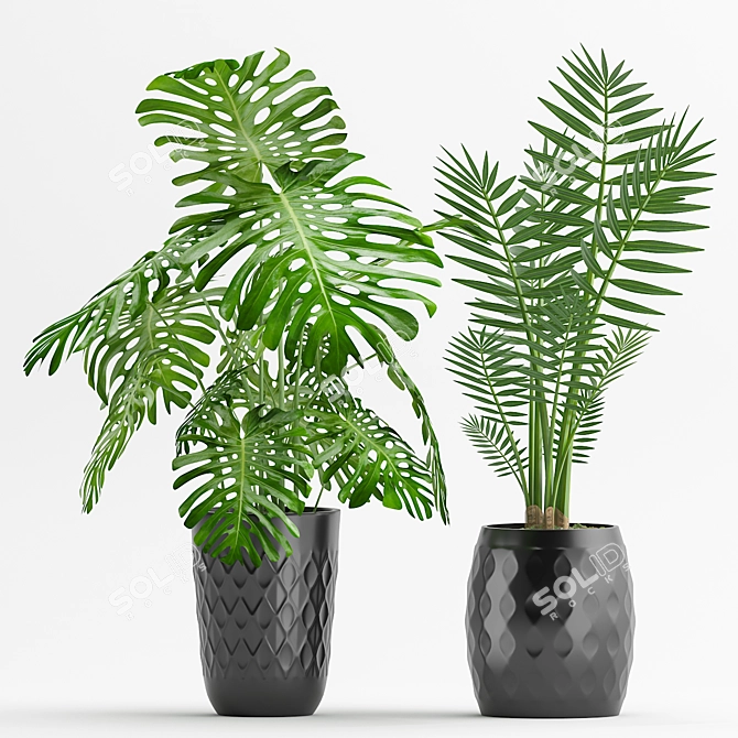 Geometric Palm & Monstera Combo 3D model image 1