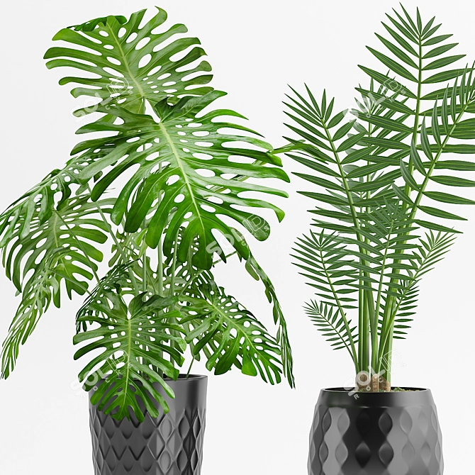 Geometric Palm & Monstera Combo 3D model image 2