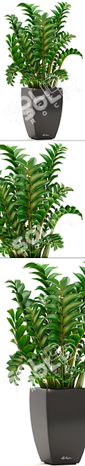 Lechuza Zamioculcas: Stunning Indoor Plant in Modern Pot 3D model image 2