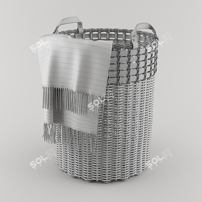 ASTER Woven Tote Basket - Stylish and Spacious! 3D model image 2