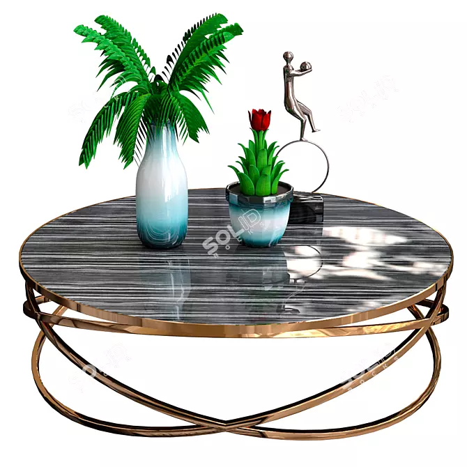 Elegant Coffee Table Décor Set 3D model image 1