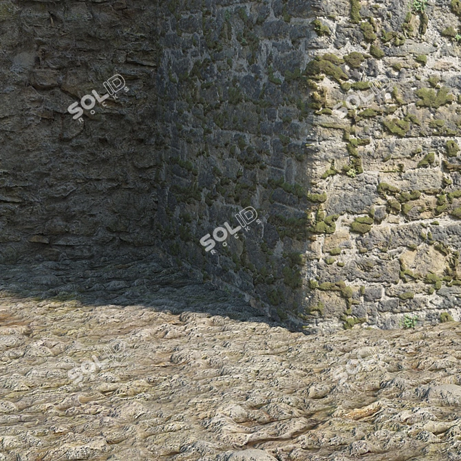 Old Masonry Set: Authentic Stone Materials (2 Items) 3D model image 2