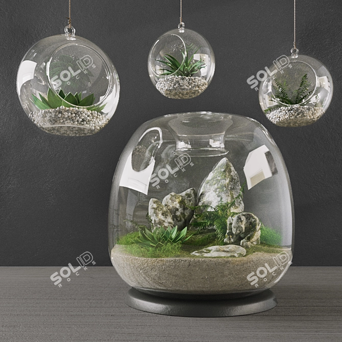 Elegant Terrarium Set: Enhance Your Interior 3D model image 1