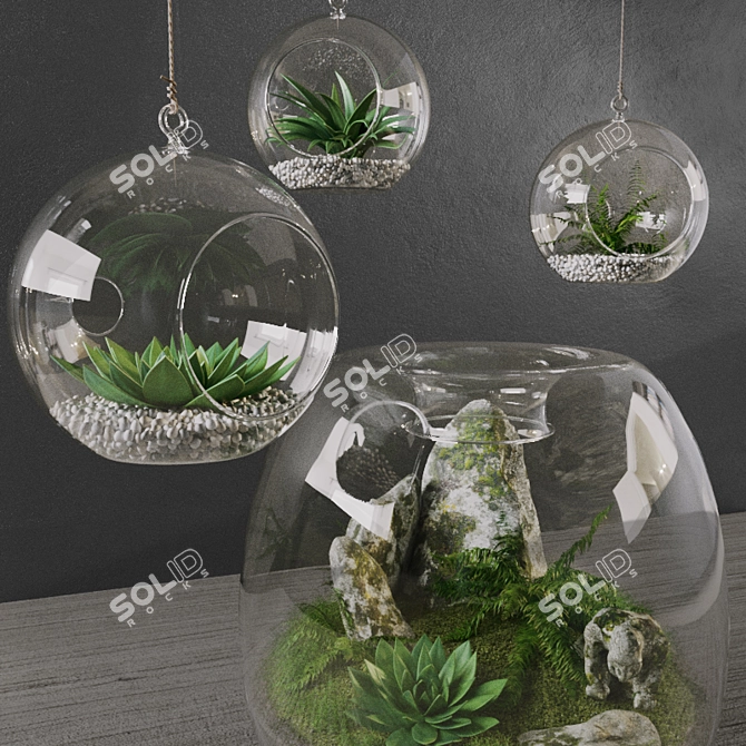 Elegant Terrarium Set: Enhance Your Interior 3D model image 2