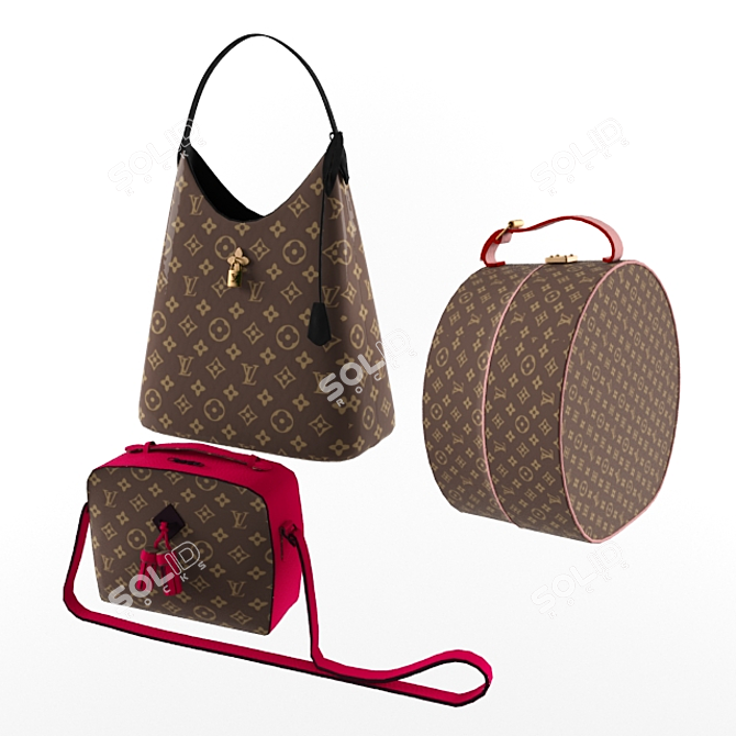 LV Flower Hobo Bag & Saintonge Box 3D model image 2