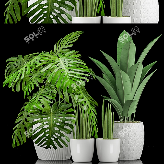 Geometric Pot Plant Trio 3D model image 1