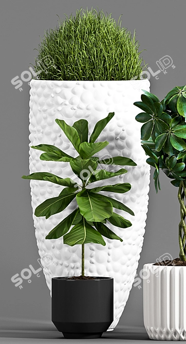 Botanical Bliss: Decorative Plant Set 3D model image 3