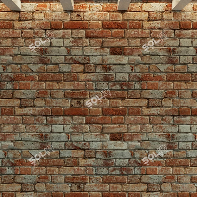 Historical Brick Wall Texture 3D model image 2