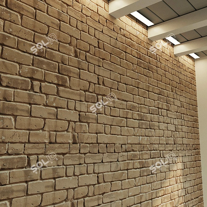 Vintage Clay Brick Wall Texture 3D model image 3