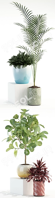 Green Oasis Plant Collection 3D model image 2