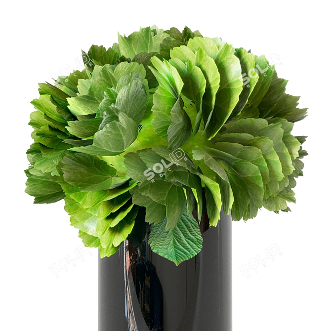 Elegant Hydrangea in Black Vase 3D model image 2