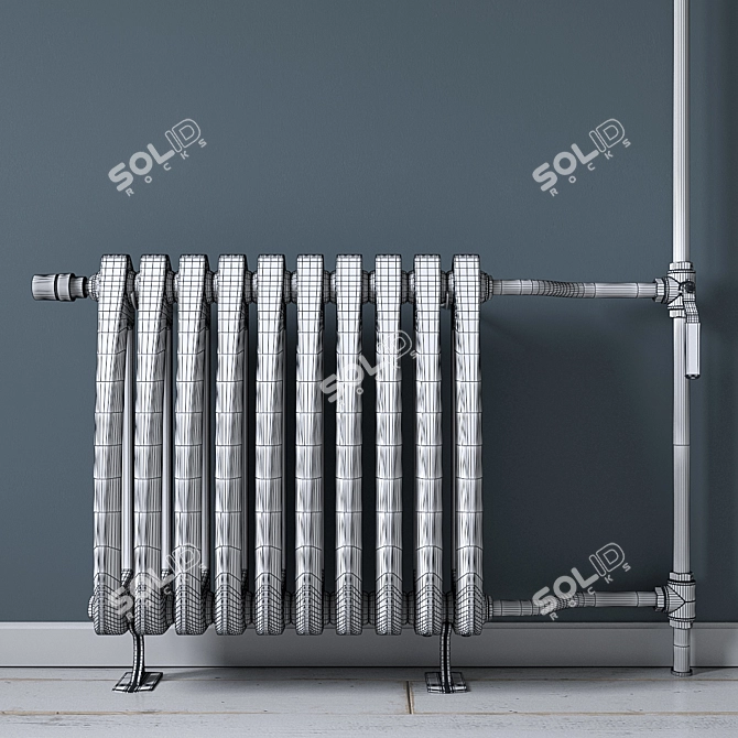 Viadrus Style Heating Radiator 3D model image 2