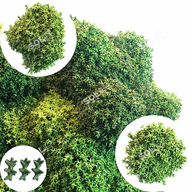 Lush Moss Set: 3D Max & FBX 3D model image 1