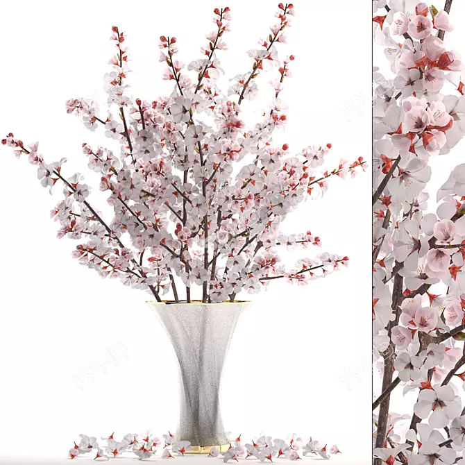 Cherry Blossom Delight: 24 White Blooms 3D model image 1