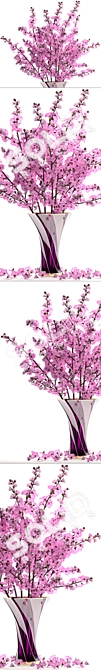 Cherry Blossom Delight 3D model image 2