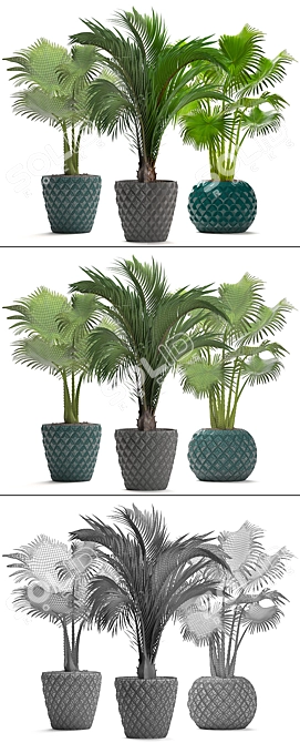 Tropical Palm Paradise Collection 3D model image 3