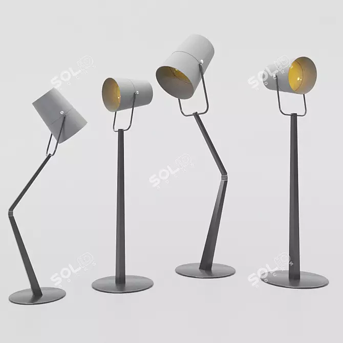 Loft Style Luminaire: Versatile Table Lamp, Wall Sconce, or Torchere 3D model image 1