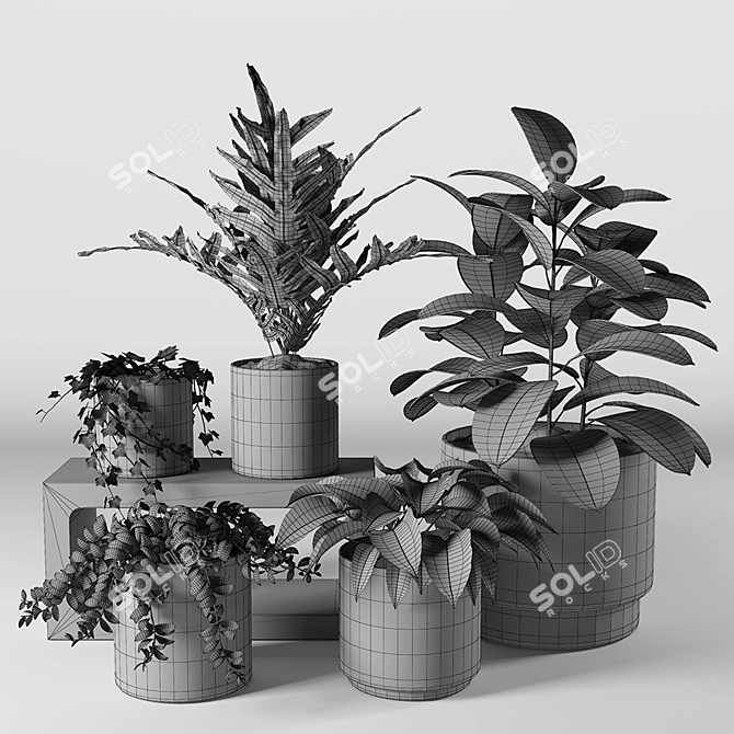 Versatile 3D Plant Collection 3D model image 3