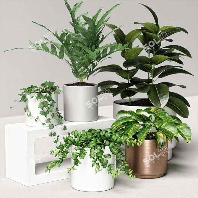 Versatile 3D Plant Collection 3D model image 4