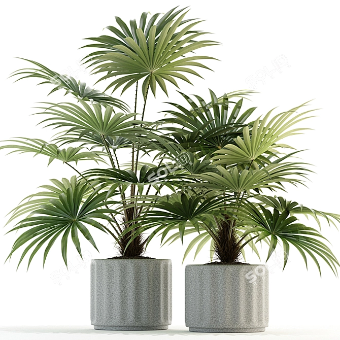 Lush Greens Collection: 94 Varieties 3D model image 1