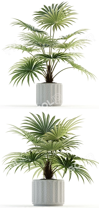 Lush Greens Collection: 94 Varieties 3D model image 2