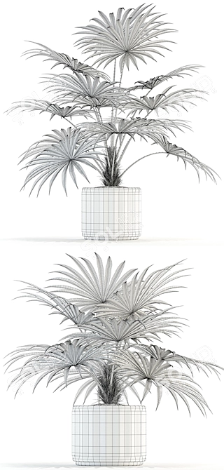 Lush Greens Collection: 94 Varieties 3D model image 3