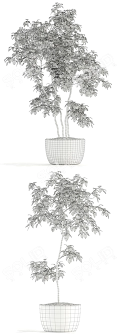 Botanical Bliss: 96 Stunning Plants 3D model image 3