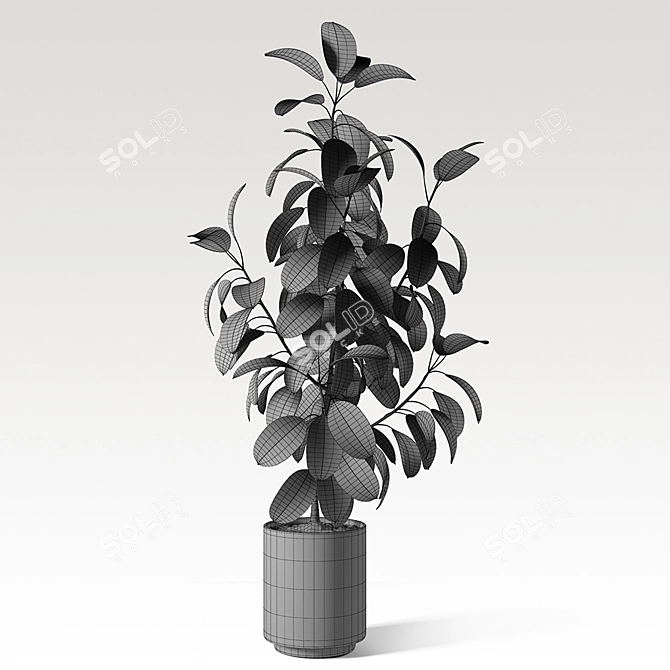 Elegant Ficus Elastica: 3ds Max, OBJ, V-Ray, 2009, 2015 3D model image 3