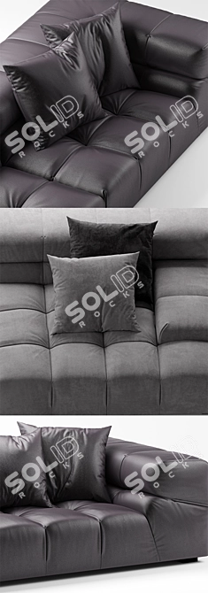 Elegant Leather Sofa by B&B Italia 3D model image 2