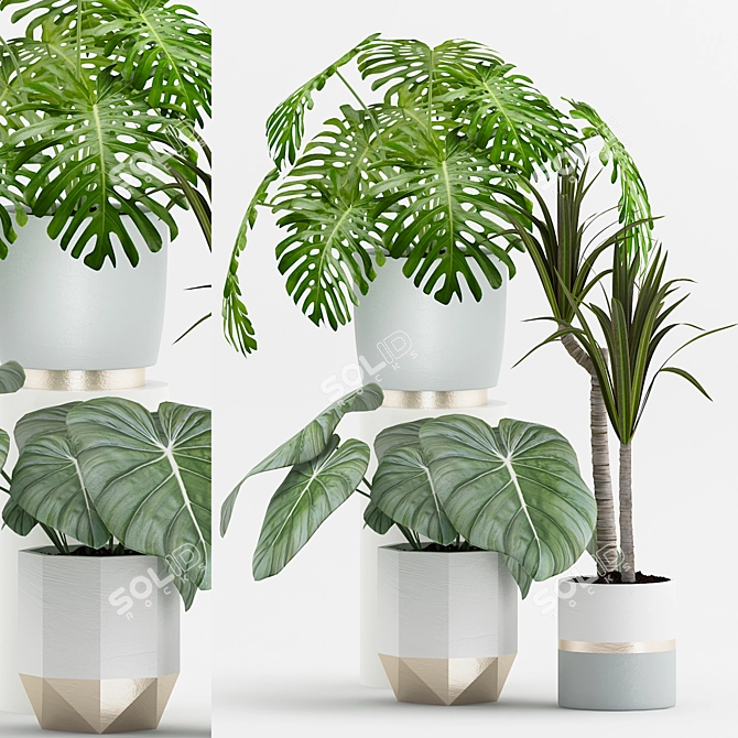 Tropical Plant Collection with Metal Pot 3D model image 1