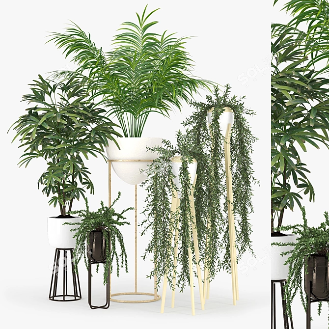Green Oasis Plant Set: 3D Files & Textures 3D model image 1
